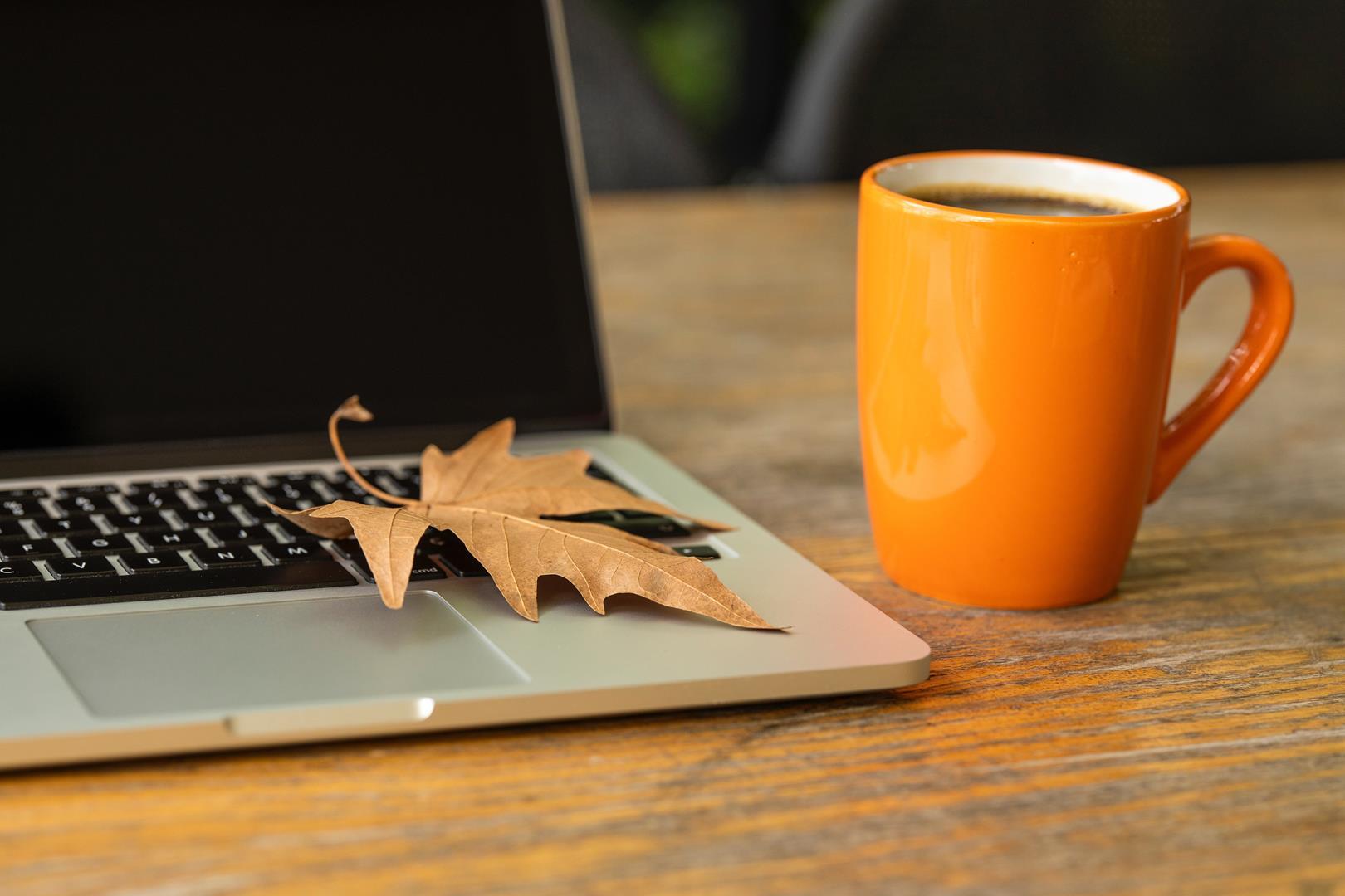 Novi Michigan Website Design Services